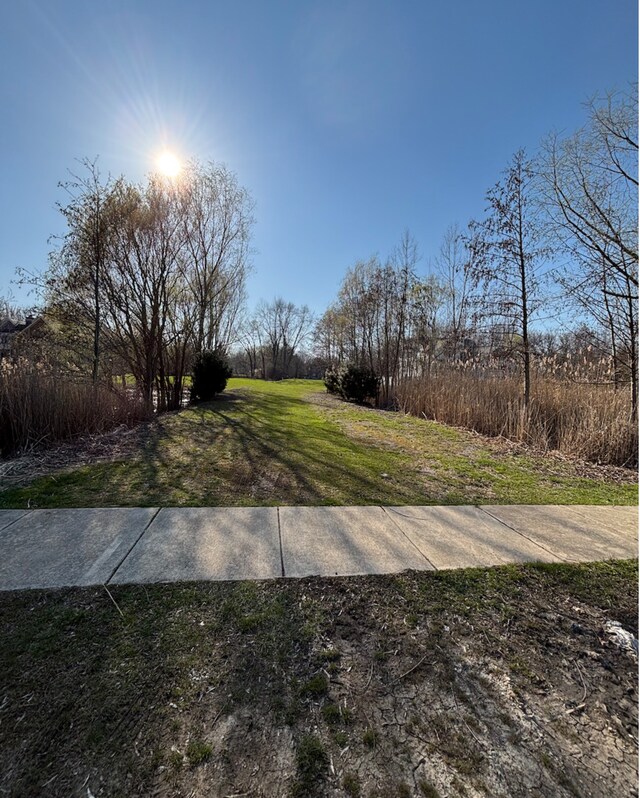 6542 Bentley Ave, Willowbrook, IL 60527 - photo 4