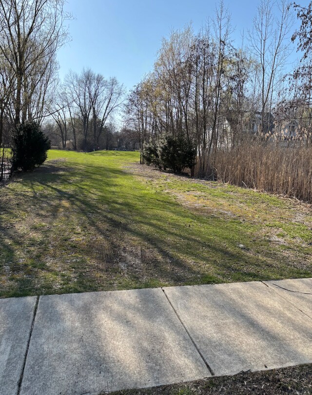 6542 Bentley Ave, Willowbrook, IL 60527 - photo 8
