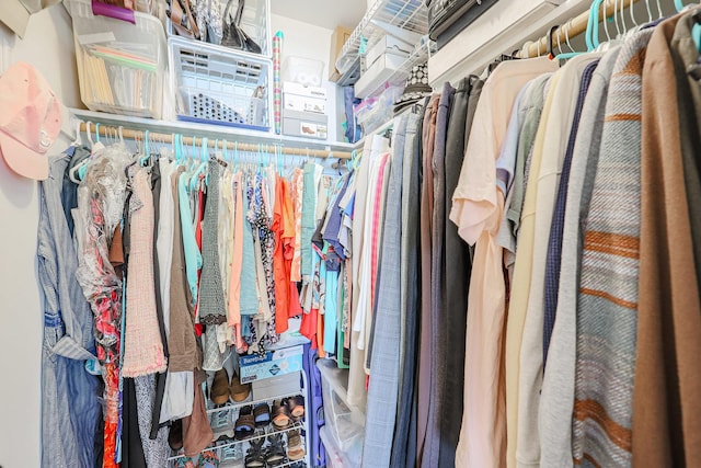 view of walk in closet