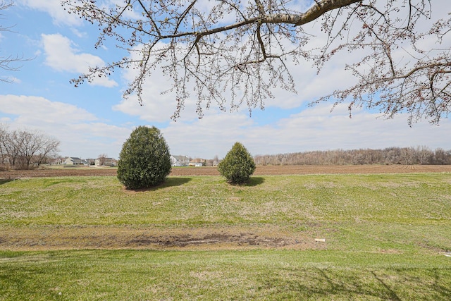 view of yard featuring a rural view