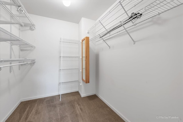 9531 Lenox Ln, Lakewood, IL 60014 - spacious closet featuring carpet flooring