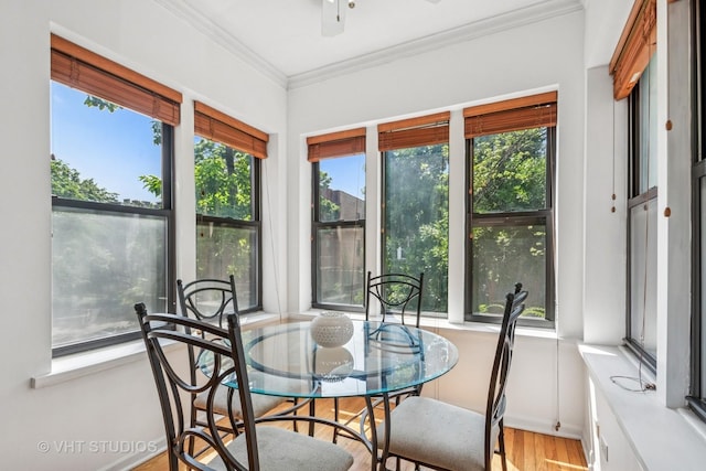 6455 N Bosworth Ave Unit 2, Chicago, IL 60626 - photo 3