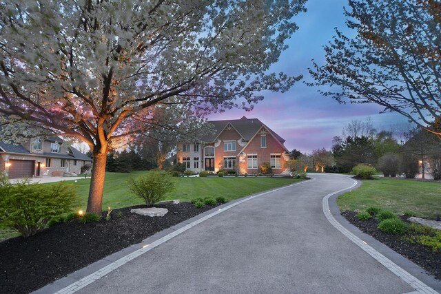 22328 N Prairie Ct, Kildeer, IL 60047 - view of asphalt road