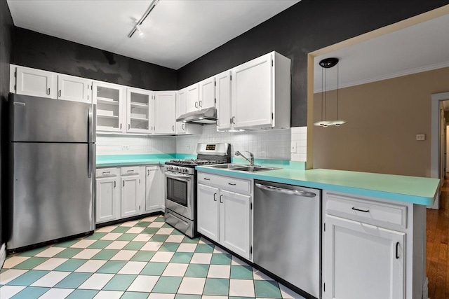 kitchen featuring white cabinets, a sink, under cabinet range hood, stainless steel appliances, and rail lighting