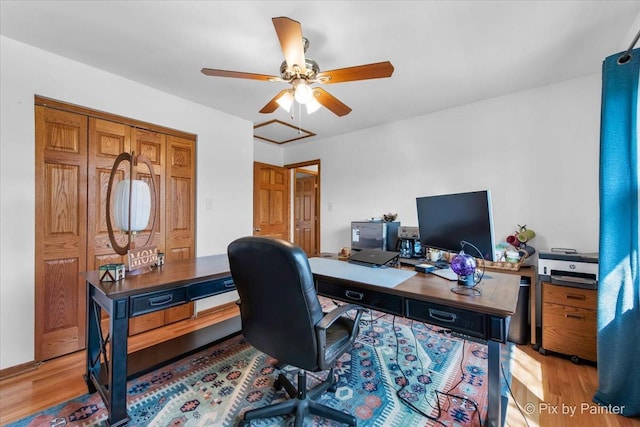 office area featuring light wood finished floors and a ceiling fan