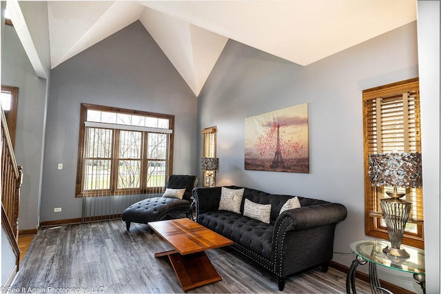 living area featuring plenty of natural light, baseboards, and wood finished floors