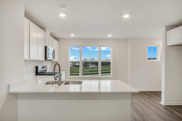 363 Bridgeview Ct, Saint Charles, IL 60174 - kitchen featuring a sink, light countertops, appliances with stainless steel finishes, a peninsula, and wood finished floors