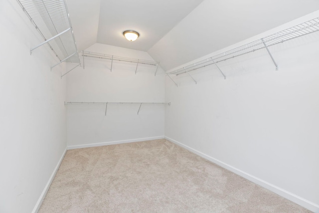 1866 Snead St, Bolingbrook, IL 60490 - walk in closet with carpet floors and lofted ceiling