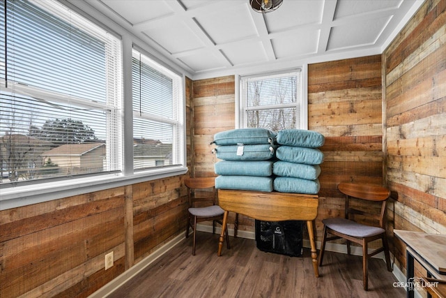 living area with wooden walls, wood finished floors, and a healthy amount of sunlight