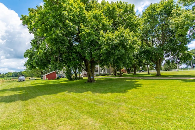 view of yard