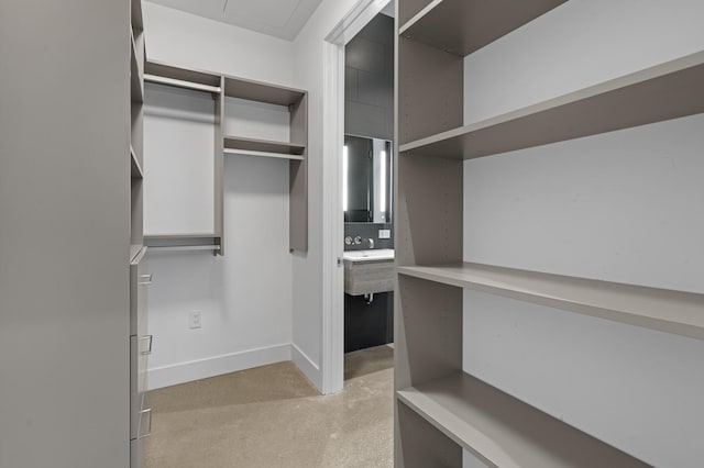 view of spacious closet