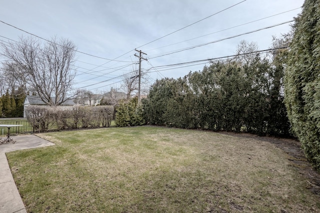 view of yard featuring a patio