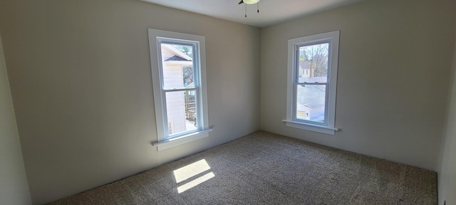 spare room featuring carpet flooring and plenty of natural light