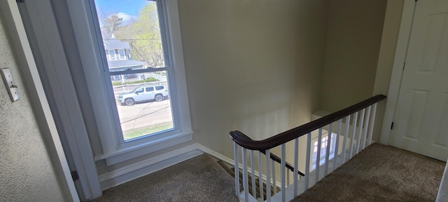 stairs featuring carpet floors