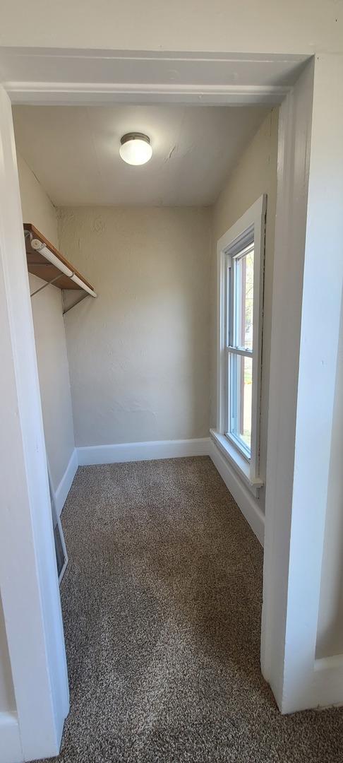 walk in closet featuring carpet