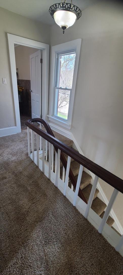 stairway featuring carpet flooring and baseboards