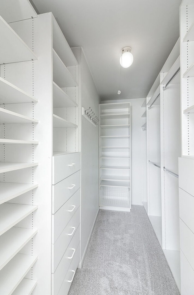 walk in closet featuring carpet