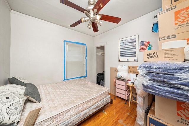 2142 N Mobile Ave, Chicago, IL 60639 - bedroom with wood finished floors, ornamental molding, a ceiling fan, a walk in closet, and a closet