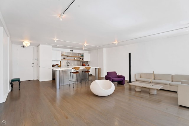 living room featuring dark wood-type flooring and rail lighting