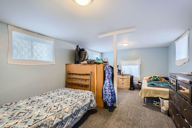 8151 S Bennett Ave, Chicago, IL 60617 - view of carpeted bedroom