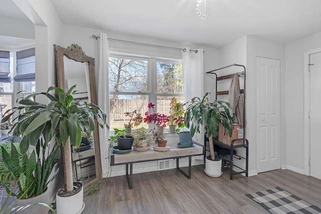 interior space with wood finished floors, baseboards, visible vents, and a wealth of natural light
