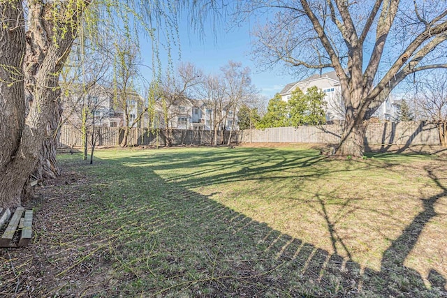 view of yard with a fenced backyard