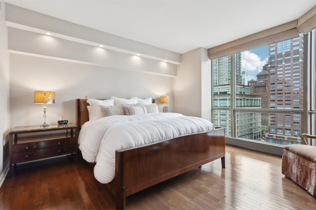 bedroom with a city view, wood finished floors, and expansive windows