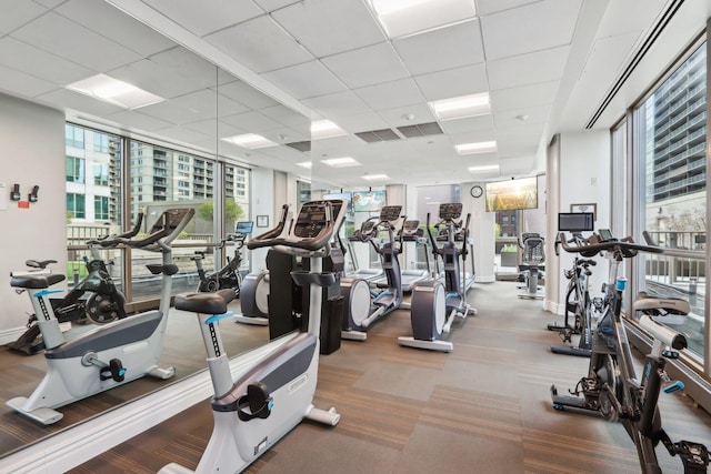 gym featuring a paneled ceiling and a healthy amount of sunlight