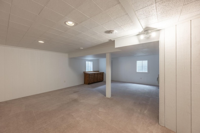 basement featuring carpet