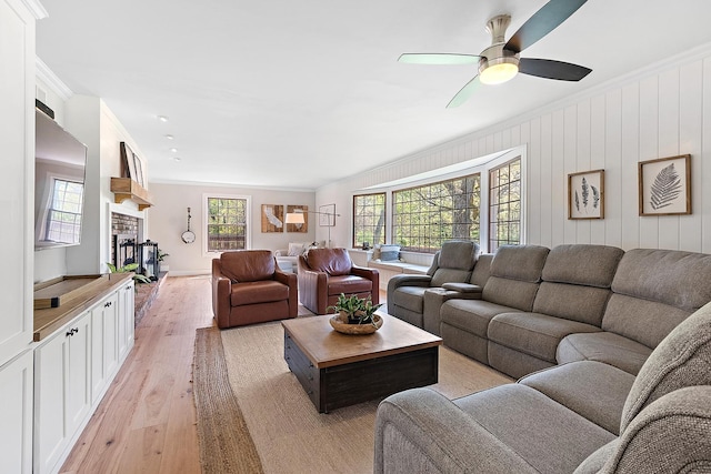 506 Aberdeen Rd, Frankfort, IL 60423 - living room featuring light wood-style flooring, ornamental molding, a ceiling fan, and a fireplace