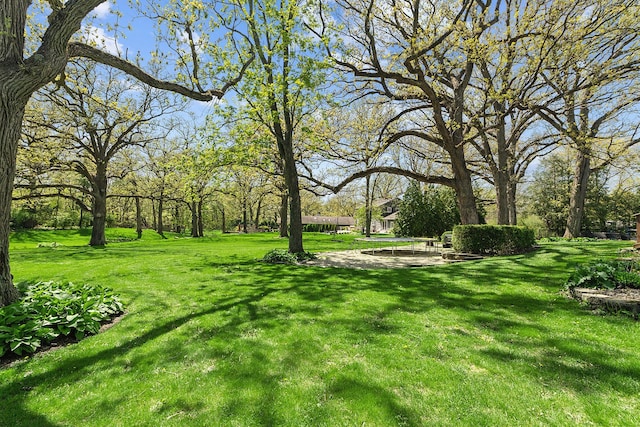 506 Aberdeen Rd, Frankfort, IL 60423 - view of grassy yard