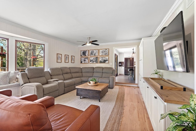 506 Aberdeen Rd, Frankfort, IL 60423 - living area featuring ornamental molding, light wood-style floors, and a ceiling fan