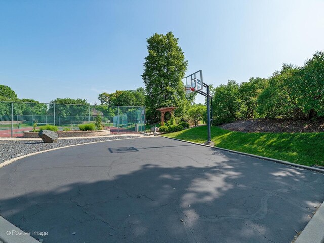 1401 Burr Oak Rd Unit 114B, Hinsdale, IL 60521 - view of sport court
