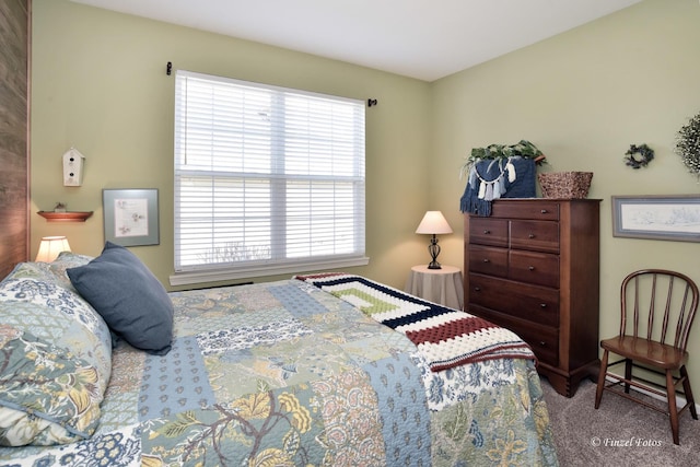 459 E Amberside Dr, Elgin, IL 60124 - view of carpeted bedroom