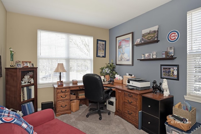 459 E Amberside Dr, Elgin, IL 60124 - office space featuring light colored carpet
