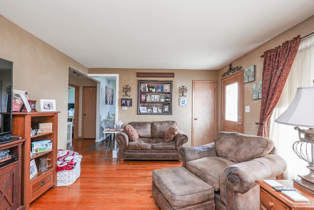 living room featuring light wood-style floors