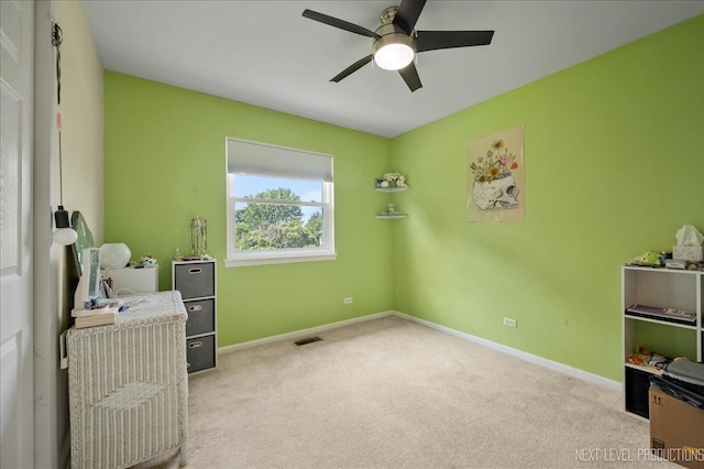 19 Vernon Ct, South Elgin, IL 60177 - unfurnished office with a ceiling fan and carpet floors