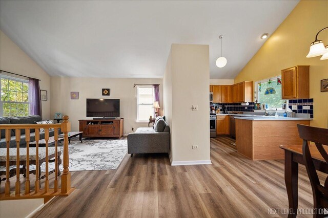 19 Vernon Ct, South Elgin, IL 60177 - kitchen with open floor plan, light wood-type flooring, tasteful backsplash, brown cabinets, and high vaulted ceiling