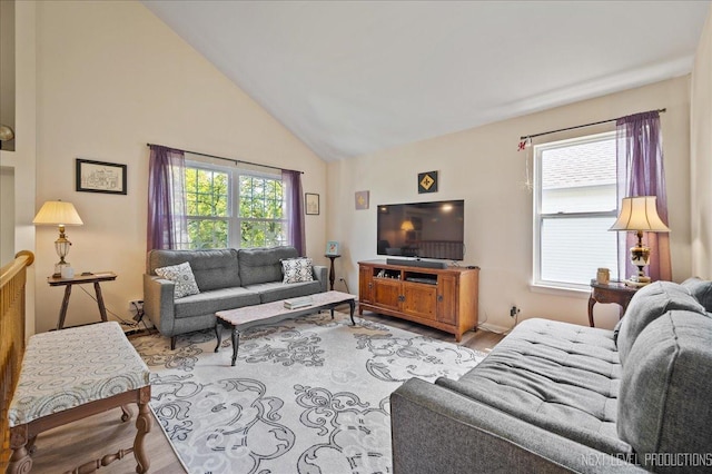 19 Vernon Ct, South Elgin, IL 60177 - living room with wood finished floors, plenty of natural light, and high vaulted ceiling