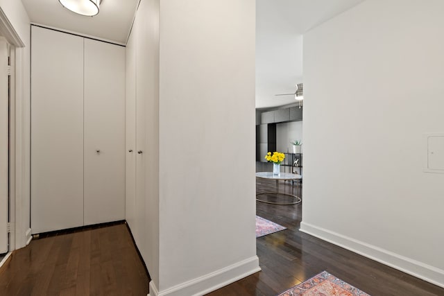 3660 N Lake Shore Dr Unit 711, Chicago, IL 60613 - hall featuring baseboards and wood finished floors