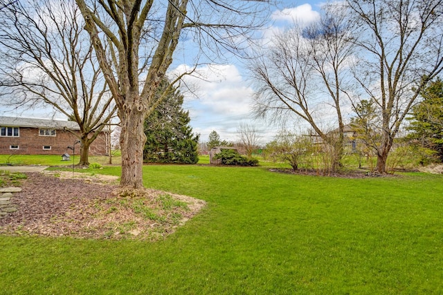 13344 S Stephen Dr, Palos Park, IL 60464 - view of green lawn