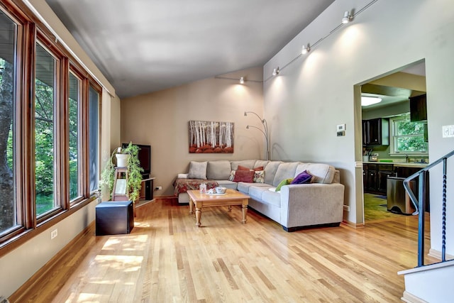 13344 S Stephen Dr, Palos Park, IL 60464 - living room with vaulted ceiling and light wood finished floors