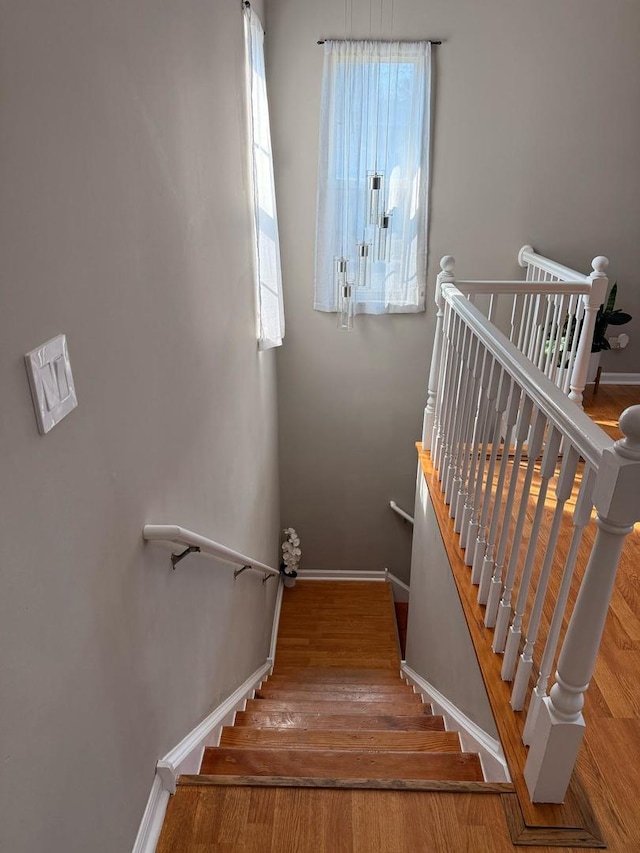 1228 Orleans Dr, Mundelein, IL 60060 - photo 15