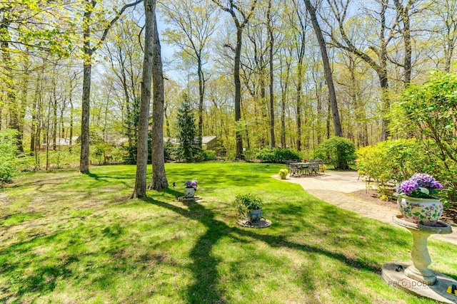 14705 W Mayland Villa Rd, Lincolnshire, IL 60069 - view of green lawn