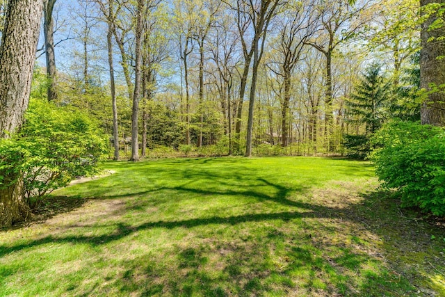 14705 W Mayland Villa Rd, Lincolnshire, IL 60069 - view of green lawn with a view of trees
