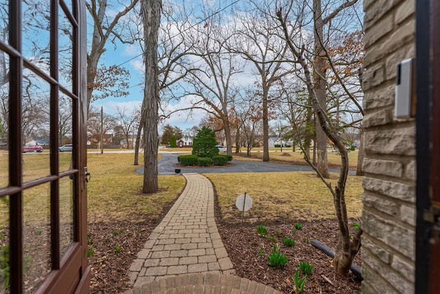 view of yard