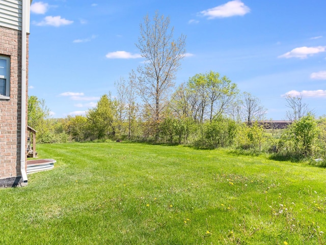 view of green lawn