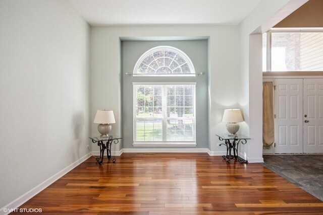 foyer entrance with plenty of natural light, wood finished floors, and baseboards