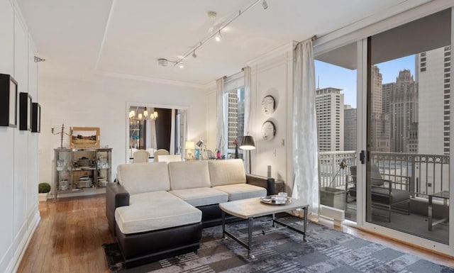 living area featuring track lighting, plenty of natural light, an inviting chandelier, and wood finished floors
