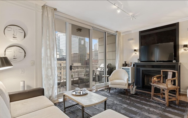 living area with a lit fireplace, track lighting, and expansive windows